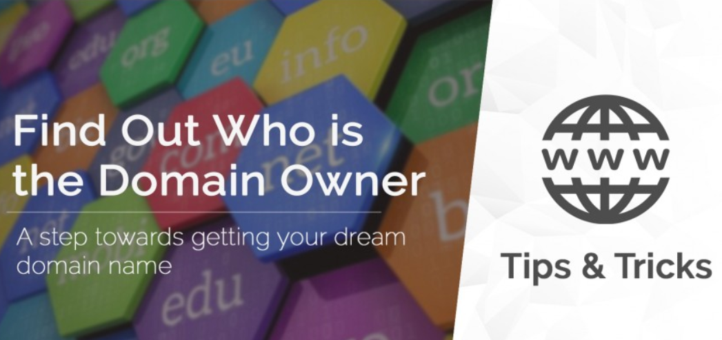 Domain owner. Find the domain. Domain name ownership.